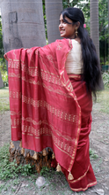 Load image into Gallery viewer, Chikankari - Zari Chanderi
